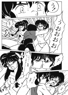[N-PAPOON] LUNATIC MOON III (Ranma 1/2) - page 12