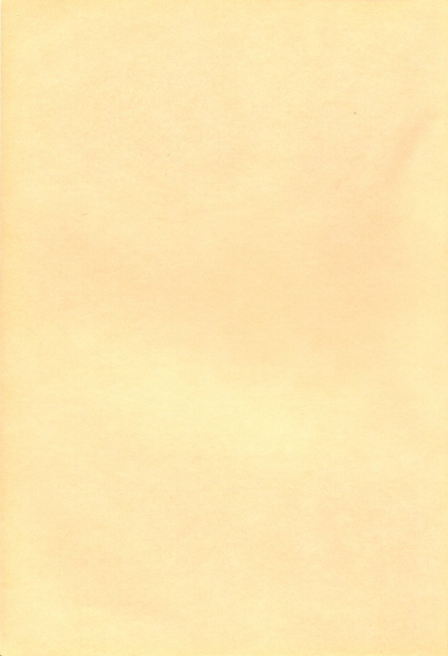 [Shueisha (Hideno, Hideaki, Jinkun Kyouchan)] Soryu no Yume (Neon Genesis Evangelion) page 44 full