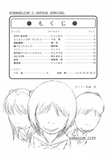 (Comic Castle Eva Special) [Paradise City (Various)] Tabeta Kigasuru Bangaihen EVANGELION COMIC CASTLE SPECIAL (Neon Genesis Evangelion) - page 3