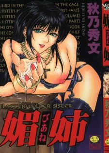 [Akino Hidefumi] Biane - Flattery Older Sister