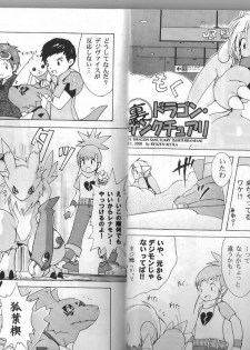 Digimon Dragon Sanctuary (Furry)