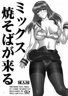 (C67) [Hellabunna (Iruma Kamiri)] Mix Yakisoba ga Kuru (Dead or Alive)
