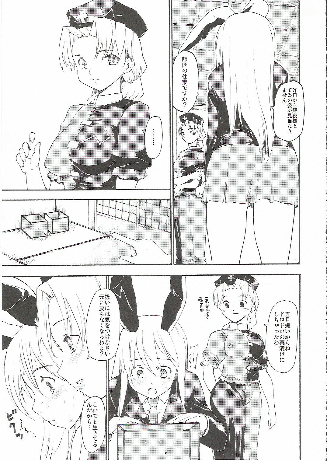 (C70) [Paranoia Cat (Fujiwara Shunichi)] Touhou Ukiyo Emaki Yagokoro Eirin (Touhou Project) page 12 full