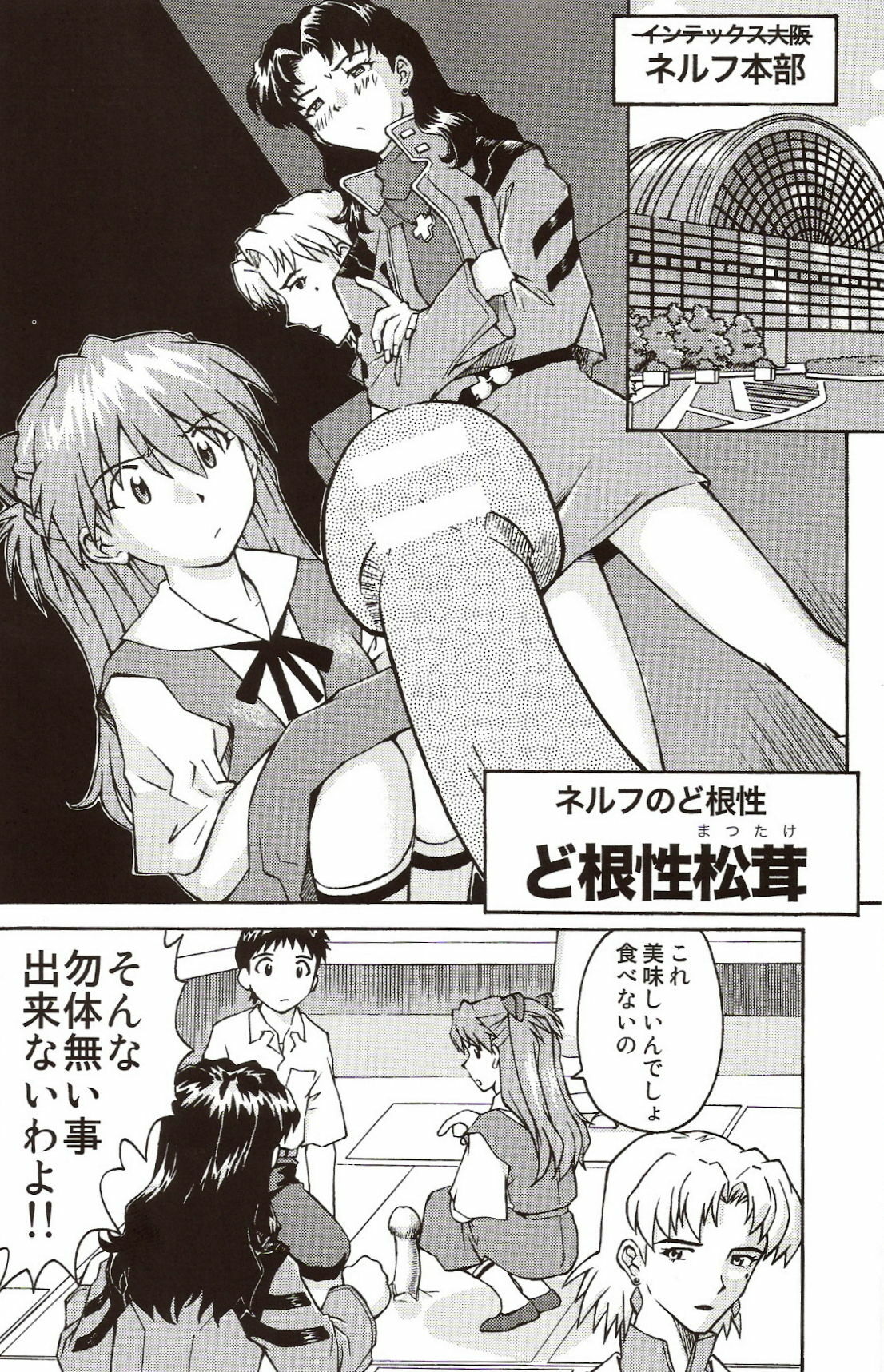 (C71) [TENGU NO TSUZURA (Kuro Tengu)] A Wild Fancy (Neon Genesis Evangelion) page 8 full