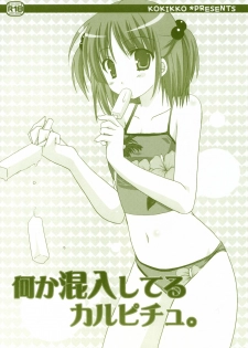 (C72) [Kokikko (Sesena Yau)] Nanika Konnyuu Shiteru Karupichu. (Hayate no Gotoku!)