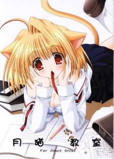 (C63) [Neko Kinryouku (NekoNeko)] Tsukineko Kyoushitsu (Tsukihime)
