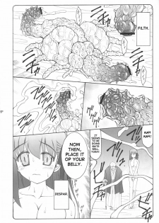 (C68) [Abarenbow Tengu (Izumi Yuujiro)] Kotori (Fate/stay night) [English] [SaHa] - page 5
