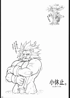 (C67) [Mayoineko (Various)] cap-ero (CAPCOM FIGHTING Jam) - page 24