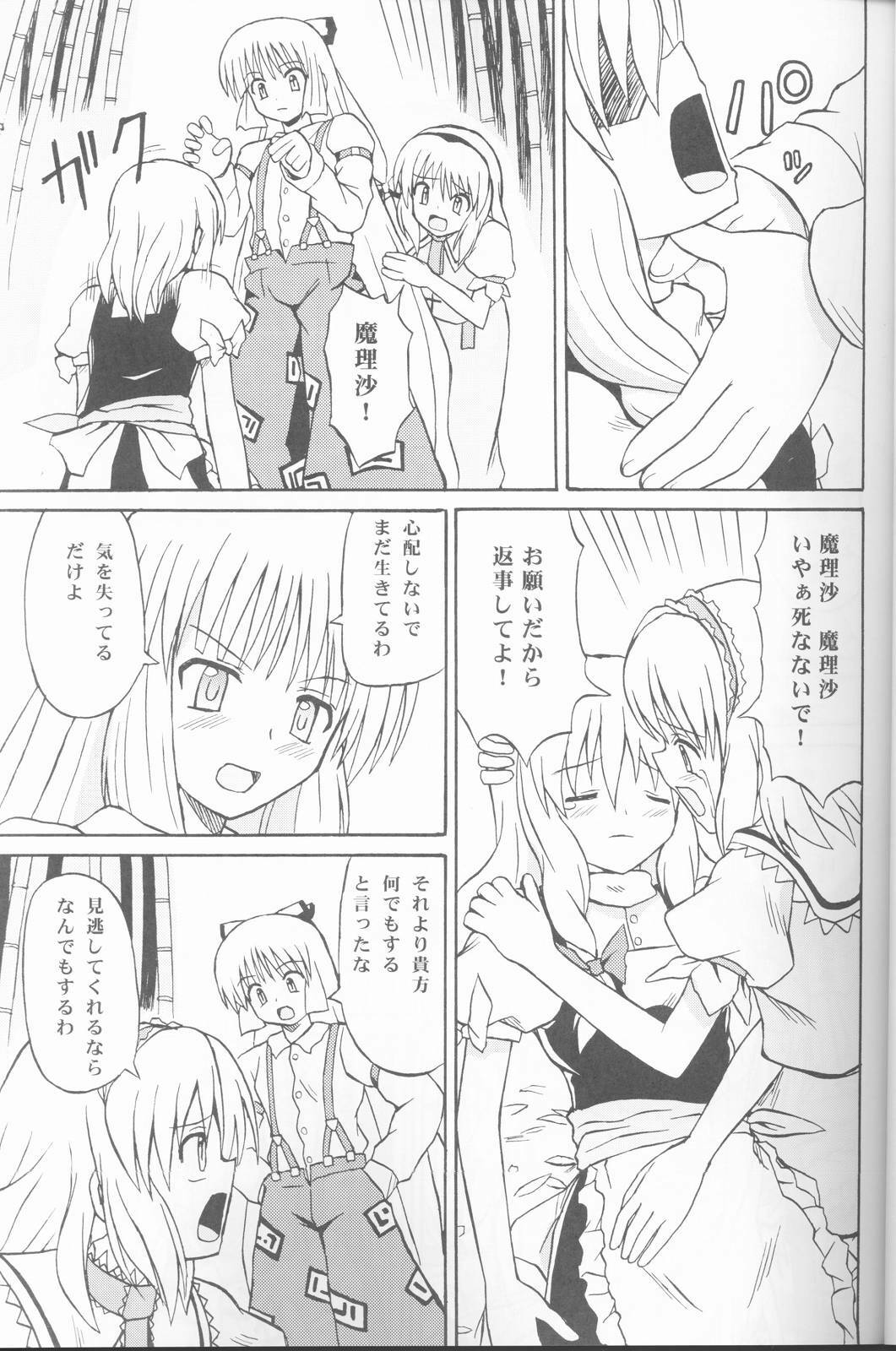 (C67) [Takaku-ya (Takaku Toshihiko)] Touhou Youjo Ranbu (Touhou Project) page 12 full