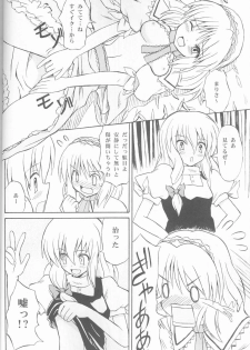 (C67) [Takaku-ya (Takaku Toshihiko)] Touhou Youjo Ranbu (Touhou Project) - page 15