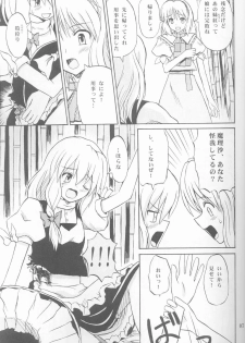 (C67) [Takaku-ya (Takaku Toshihiko)] Touhou Youjo Ranbu (Touhou Project) - page 6