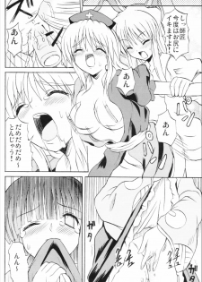 (Reitaisai 3) [Takakuya (Takaku Toshihiko)] Touhou Youjo Ranbu 6 (Touhou Project) - page 25
