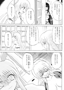 (Reitaisai 3) [Takakuya (Takaku Toshihiko)] Touhou Youjo Ranbu 6 (Touhou Project) - page 28