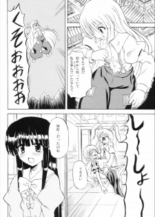 (Reitaisai 3) [Takakuya (Takaku Toshihiko)] Touhou Youjo Ranbu 6 (Touhou Project) - page 29