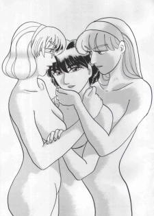 (CR17) [Nawanoren (Various)] NN Magic Knight (Magic Knight Rayearth) - page 14