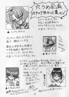 (CR17) [Nawanoren (Various)] NN Magic Knight (Magic Knight Rayearth) - page 36
