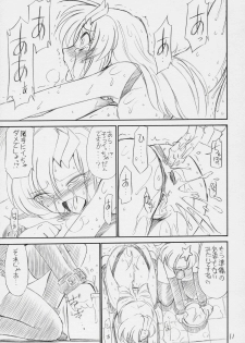 (C70) [EINSATZ GRUPPE (Charlie Nishinaka)] PRISONER 8 Miserable Birds (Gundam SEED DESTINY) - page 12