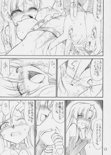 (C70) [EINSATZ GRUPPE (Charlie Nishinaka)] PRISONER 8 Miserable Birds (Gundam SEED DESTINY) - page 24