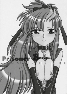 (C70) [EINSATZ GRUPPE (Charlie Nishinaka)] PRISONER 8 Miserable Birds (Gundam SEED DESTINY) - page 2