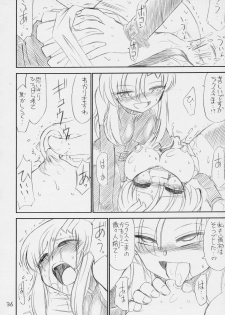 (C70) [EINSATZ GRUPPE (Charlie Nishinaka)] PRISONER 8 Miserable Birds (Gundam SEED DESTINY) - page 37