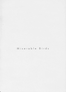 (C70) [EINSATZ GRUPPE (Charlie Nishinaka)] PRISONER 8 Miserable Birds (Gundam SEED DESTINY) - page 3