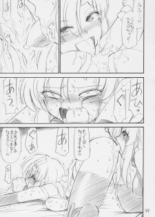 (C70) [EINSATZ GRUPPE (Charlie Nishinaka)] PRISONER 8 Miserable Birds (Gundam SEED DESTINY) - page 40