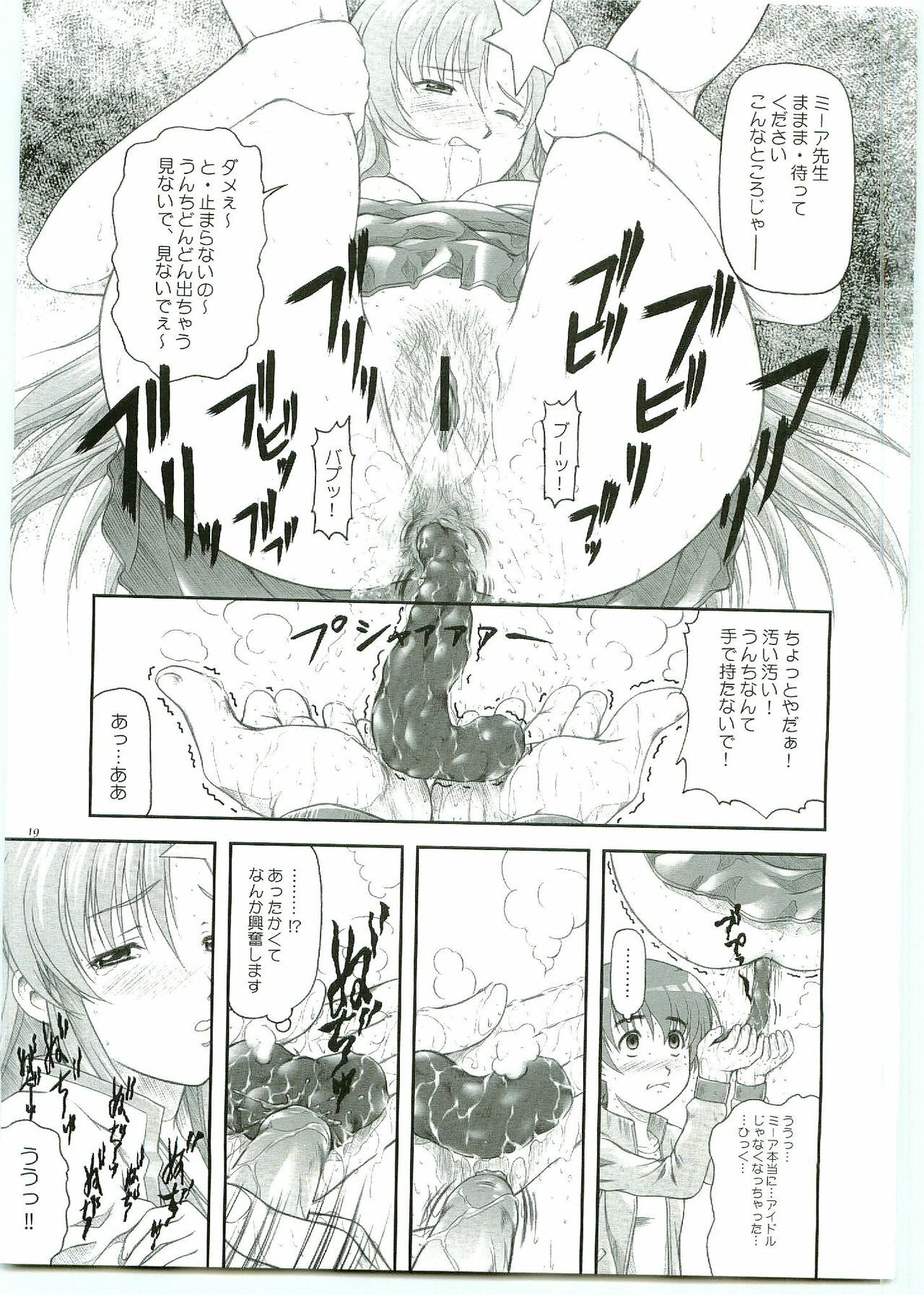 (C69) [OTOGIYA X-9 (Mizuki Haruto)] ...Shinai no? Meer Sensei -C69VERSION- (Mobile Suit Gundam SEED DESTINY) page 19 full
