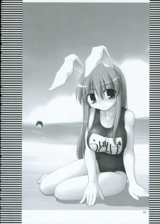 (C69) [TOYBOX (Jacky, Kurikara)] INABA BOX 2 (Touhou Project) - page 39
