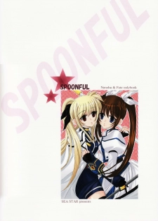 (C72) [SEA STAR (Hina Sasaki)] SPOONFUL (Mahou Shoujo Lyrical Nanoha) [English] [NanoFate] - page 25
