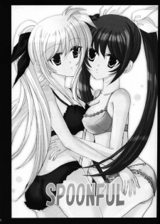 (C72) [SEA STAR (Hina Sasaki)] SPOONFUL (Mahou Shoujo Lyrical Nanoha) [English] [NanoFate] - page 2