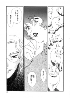 [Fujii Akiko, Akiyama Michio] Hitozuma Moyou 4 Yogarizuma - page 28