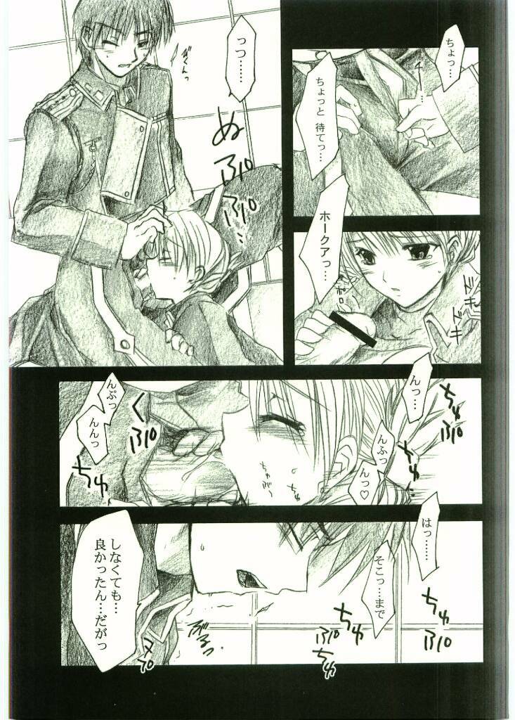(C65) [FANTASY WIND (Shinano Yura)] FLAME OF ALCHEMY (Fullmetal Alchemist) page 28 full