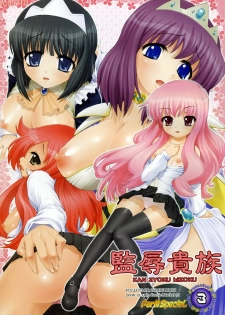 (C71) [Studio ParM (Kotobuki Utage)] Kan Zyoku Kizoku (Zero no Tsukaima)
