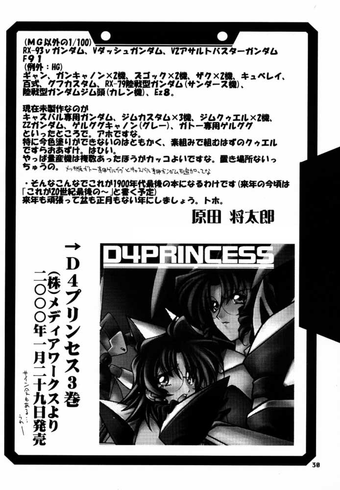 [U-A Daisakusen / Lapislazuli=corporation] Ruridou Gahou X (vol.10) (Dead or Alive) page 29 full
