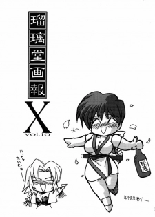 [U-A Daisakusen / Lapislazuli=corporation] Ruridou Gahou X (vol.10) (Dead or Alive) - page 2