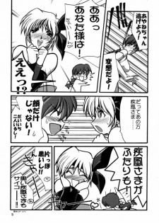 [U-A Daisakusen / Lapislazuli=corporation] Ruridou Gahou X (vol.10) (Dead or Alive) - page 4