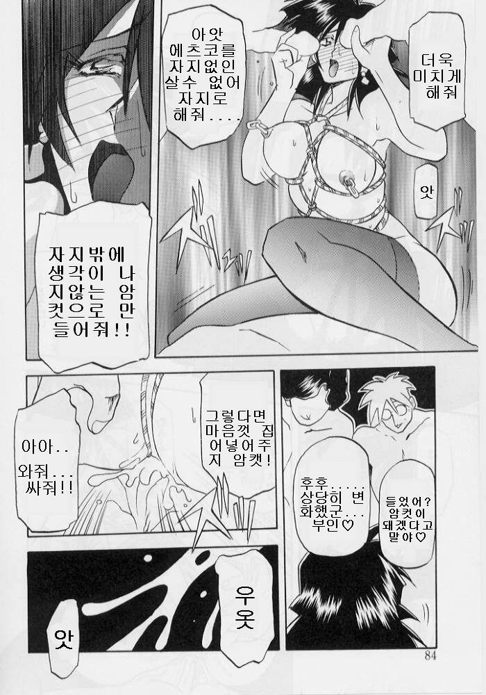 [Sanbun Kyoden] Hiiro no Koku Gekan | 비색의 긱 하컨 [Korean] [EnjoyH] page 85 full