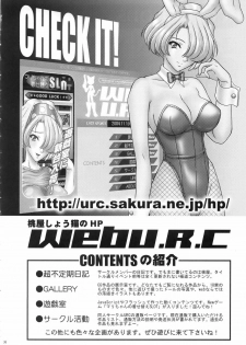 (CR37) [U.R.C (Momoya Show-Neko)] Seisai Muzan (Dynasty Warriors) - page 35