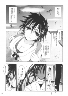 (C72) [Garyuh-Chitai (TANA)] Aki-Akane Zenpen (BLEACH) - page 4