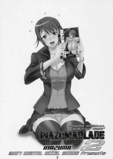 (SC36) [Digital Accel Works (INAZUMA)] INAZUMA BLADE 2 (WITCHBLADE) - page 2