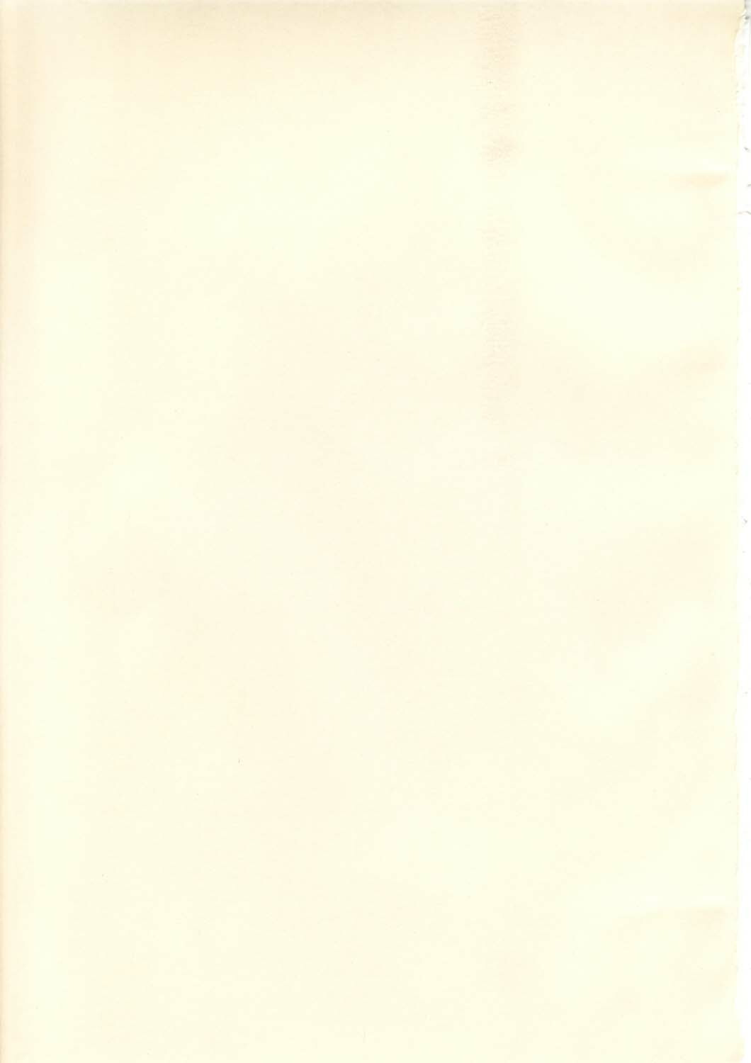 (C65) [Synthetic Garden (Various)] Burning Circles (Final Fantasy XI) page 2 full
