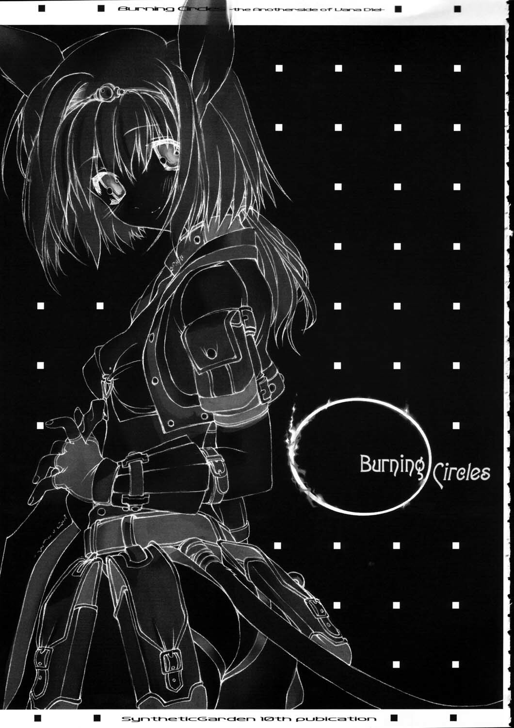 (C65) [Synthetic Garden (Various)] Burning Circles (Final Fantasy XI) page 3 full