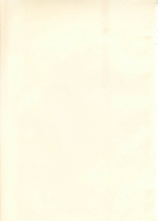 (C65) [Synthetic Garden (Various)] Burning Circles (Final Fantasy XI) - page 2
