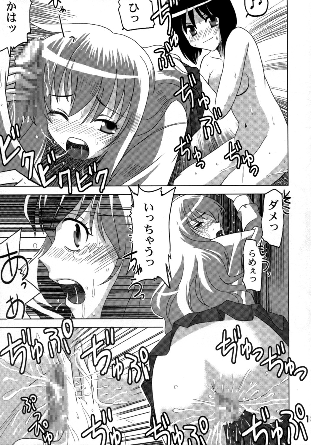 [Princess Project.] Zero no Taneuma 2 (Zero no Tsukaima) page 12 full