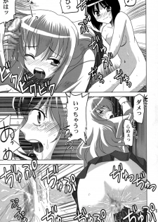 [Princess Project.] Zero no Taneuma 2 (Zero no Tsukaima) - page 12