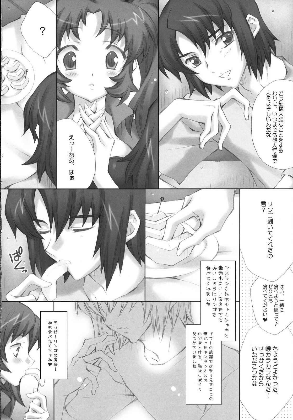 (C72) [LiZ (Satomi Hinako)] ADAM'S APPLE (Gundam SEED DESTINY) page 9 full