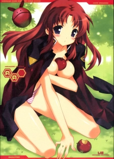 (C72) [LiZ (Satomi Hinako)] ADAM'S APPLE (Gundam SEED DESTINY)