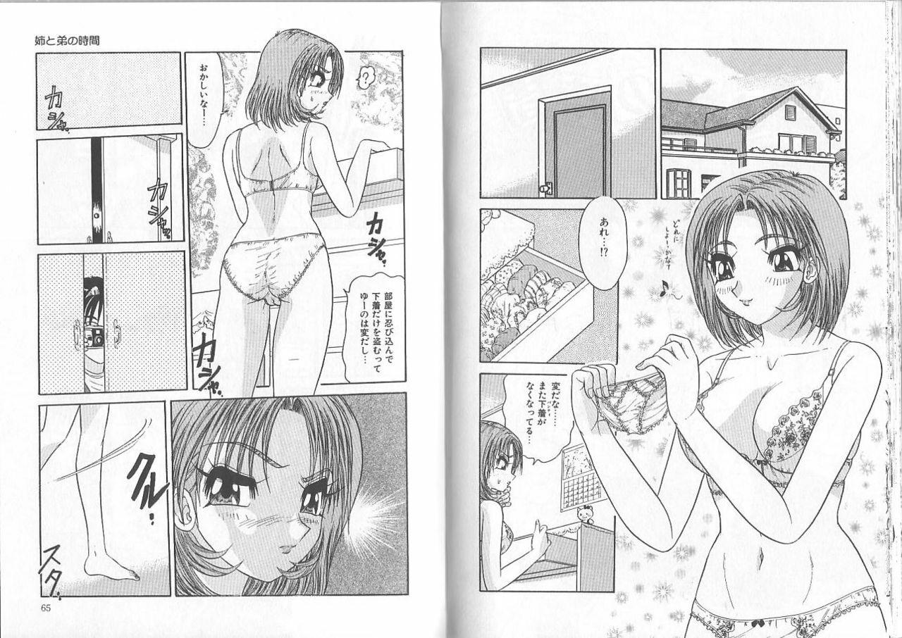 [Harukaze Saki] Ane to Otouto no Jikan page 33 full
