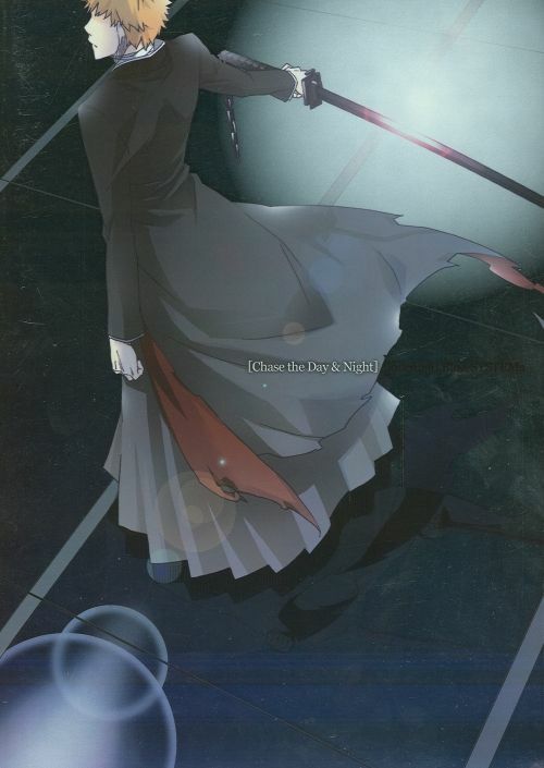 (SC36) [Blue-SYSTEMa (Usami Yuuko)] Tsukiyo no Othello - Chase the Day & Night (Bleach) page 45 full