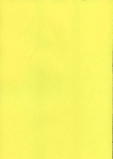 (C66) [Piggstar (Nagoya Shachihachi)] Hagane Gohatto (Fullmetal Alchemist) - page 24